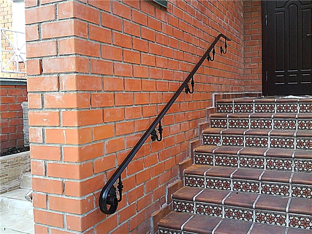 Types of wall handrails for stairs and the nuances of their installation