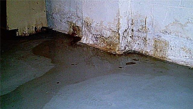 How to permanently get rid of damp in the basement