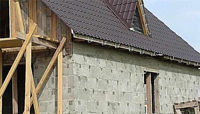 The better to insulate the house from foam blocks from the outside