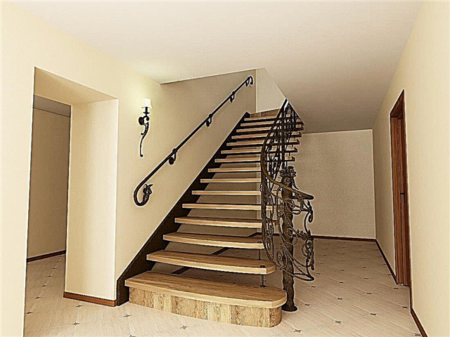 Wrought iron stairs in the house