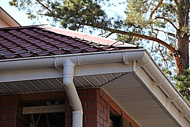 Which gutter to choose - metal or plastic?