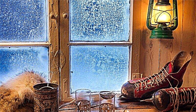 Reasons and methods for eliminating freezing of wooden windows