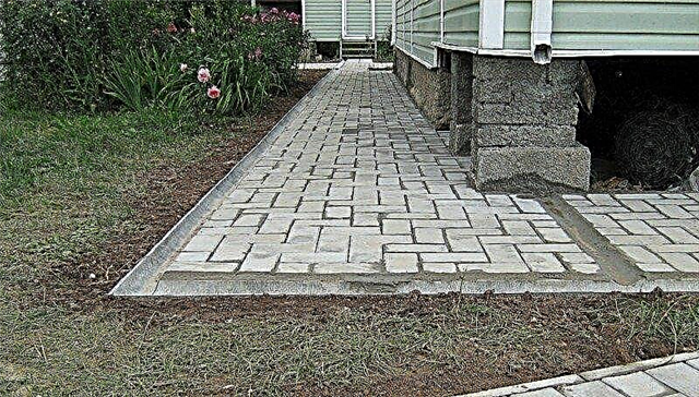 How to lay a blind area around the house from paving slabs