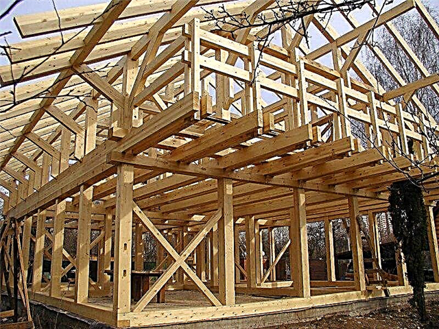 La decisione dei nodi nella casa di legno della struttura
