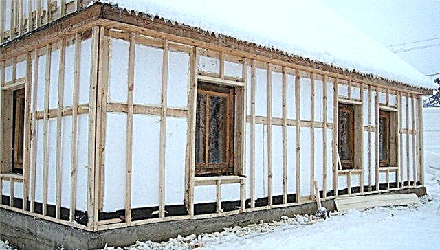 Pros and cons of warming a wooden house with foam