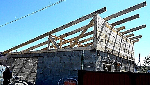Construction of a rafter system of a pitched roof