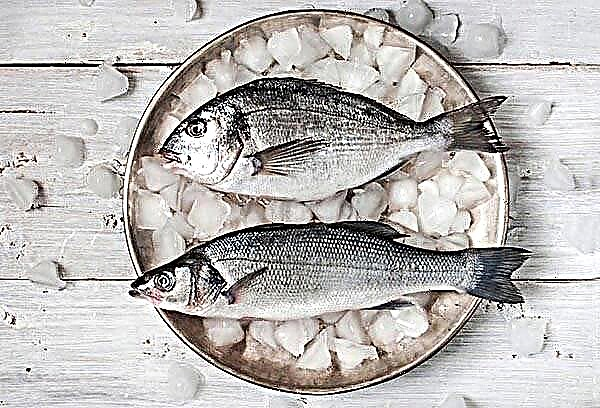 What is the best way to defrost a fish in order to cook it quickly and tasty?