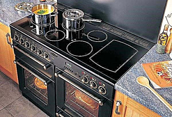 What is the difference between hobs and which one to choose?