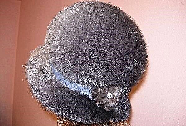 We clean the hat at home: fur, mink, wool