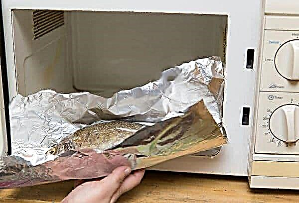 Mengapa anda tidak boleh meletakkan kerajang di dalam ketuhar gelombang mikro, dan produk separuh siap di dalam tin foil