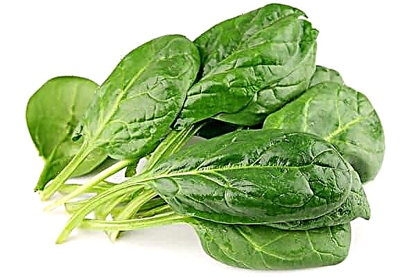 Who better not to eat spinach and why is it good for the rest?