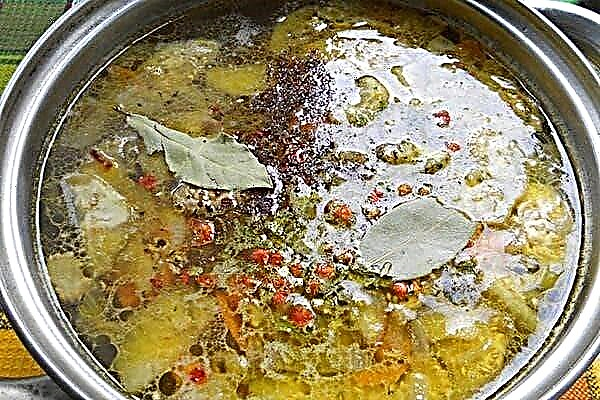 Bay leaf in the soup: how, when and in which soups to add?