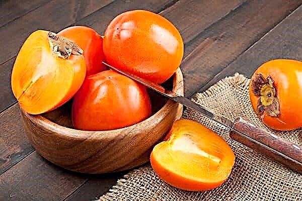 "Food of the gods" and southerners: what is the use of persimmon and who better not eat it?