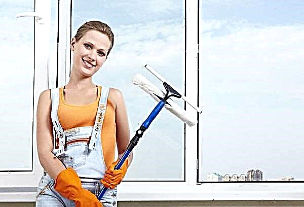 Como escolher um acessório que ajude a limpar as janelas dos dois lados?