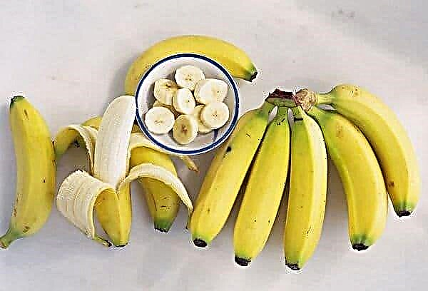 Kuinka säilyttää banaaneja niin, että ne eivät muutu mustiksi?