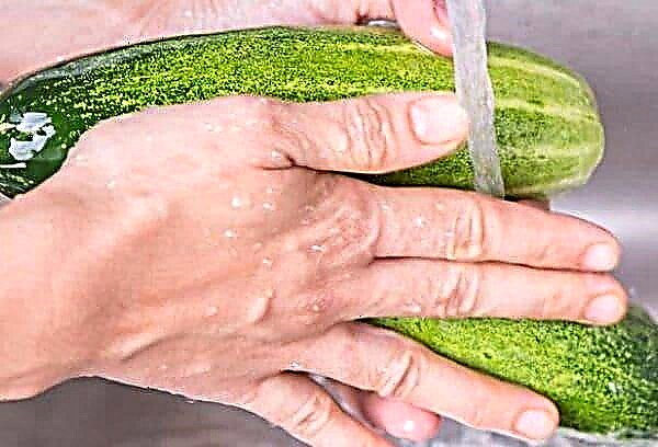 How to freeze cucumbers for the winter: detailed instructions and useful tips