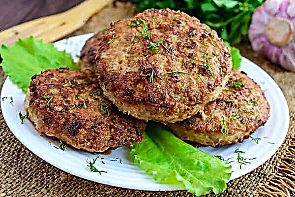 Is it possible to freeze fried minced meat patties?