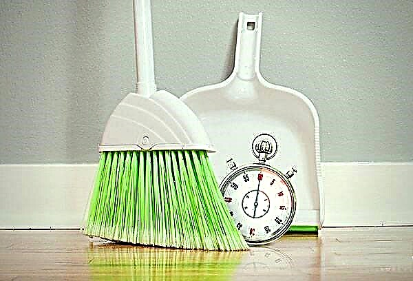 Användbara tips för rengöring av huset på ett par timmar