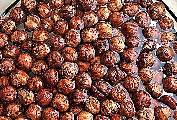 Quelles noix doivent être trempées avant consommation et pourquoi?