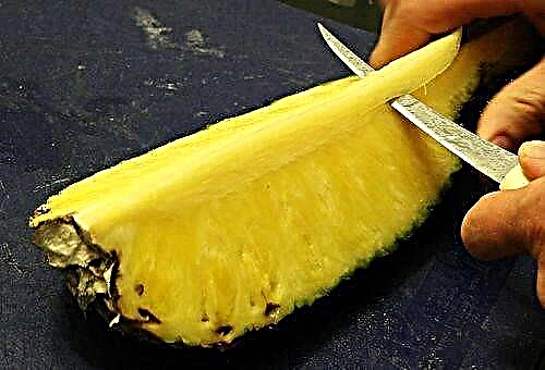 Ananası soymak ve doğramak için klasik ve sıra dışı yollar