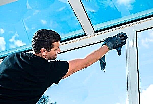 ¿Es posible lavar las ventanas de plástico con "Blanco": qué es mejor usar para no estropearse