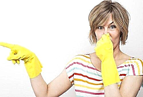 Advantages and disadvantages of homemade odor absorbers for residential premises