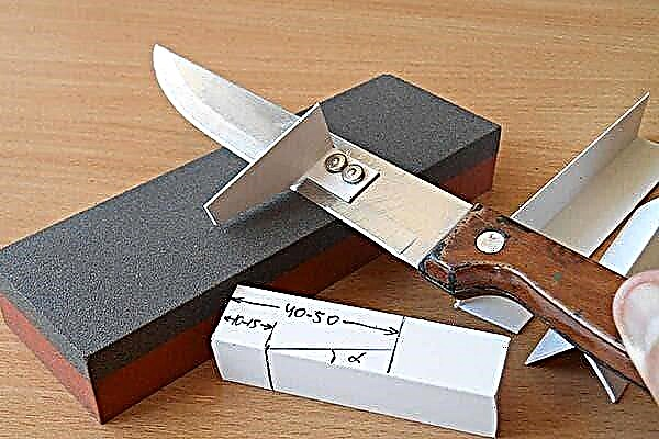 كيفية شحذ السكاكين بشكل صحيح - دليل قصير للمبتدئين