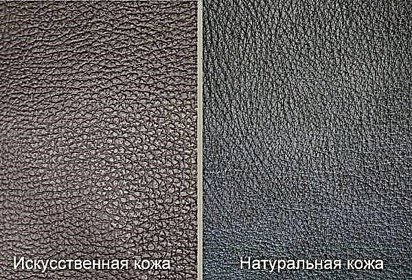 Techniques that will help to accurately distinguish between genuine leather and artificial
