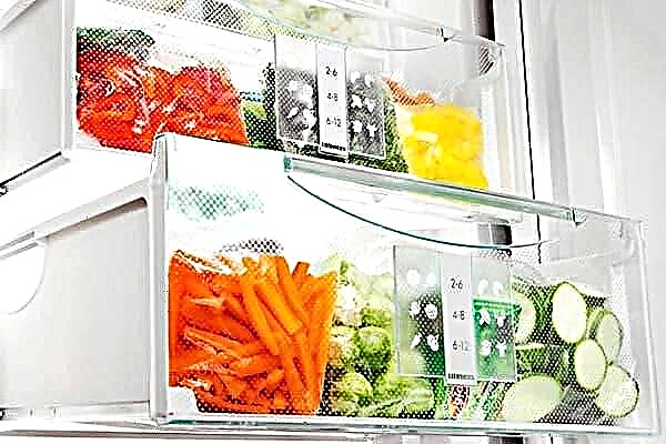 Idéal froid: quelle température doit être dans le congélateur et le réfrigérateur?
