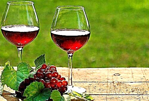 كيفية تخزين النبيذ محلي الصنع أو مفتوح؟