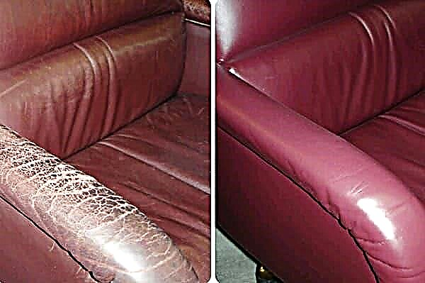 How to paint a leather armchair or sofa at home?