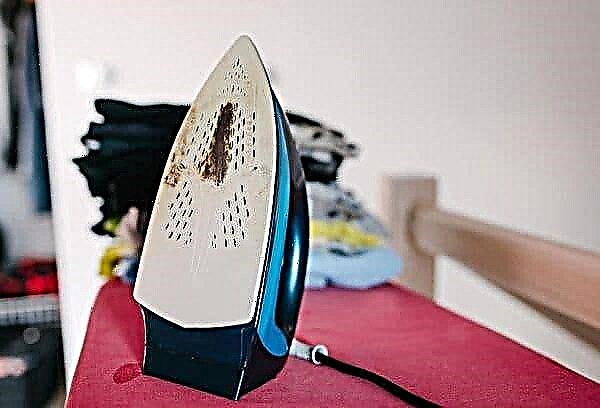 Can I clean my iron with citric acid? 6 simple tips