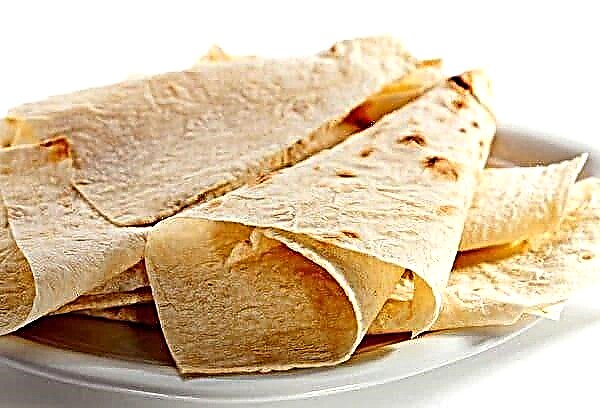 Is het mogelijk om pitabrood in de vriezer te bewaren: hoe houd je brood lang vers en smakelijk?