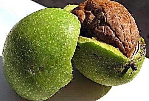 How and how can you quickly wash your hands from traces of green walnuts?