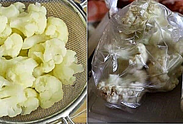 How to freeze cauliflower for the winter