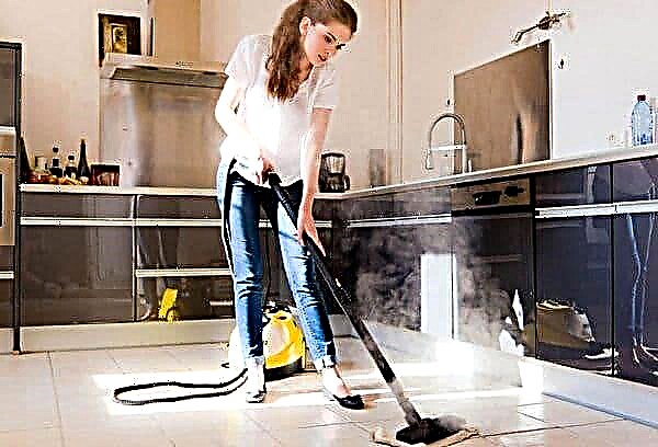 We reveal the secrets of cleaning services - cleaning geometry, melamine sponges, steam for crevices