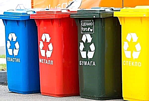جمع القمامة بشكل منفصل: كيف يقوم الأشخاص المتحضرون بفرز النفايات قبل إعادة تدويرها؟