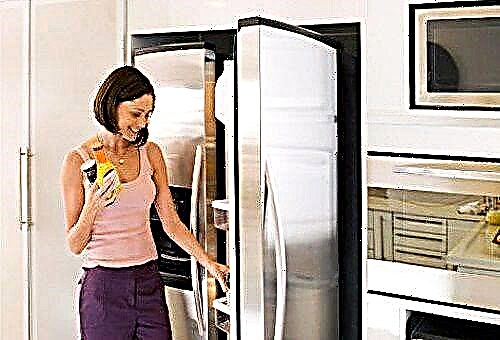 How and what to wash the refrigerator to get rid of bad smell?