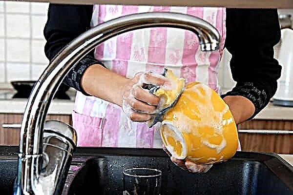 De ce este periculos un burete de spălat vase?