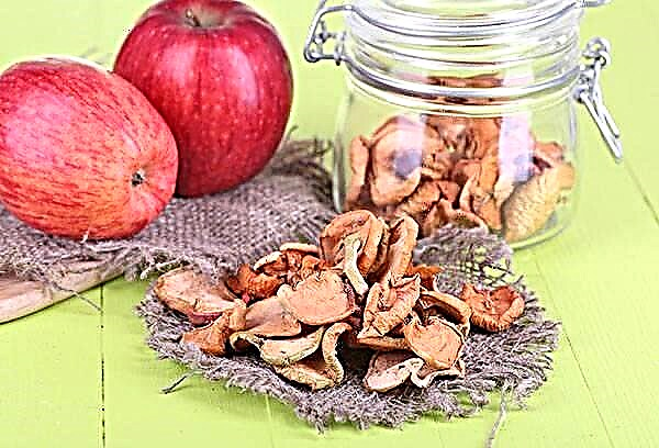 How to store dried apples at home?