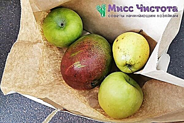Fructomaniae tip: how to ripen mango in just 6 hours at home