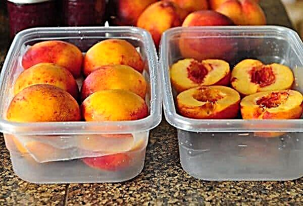 Freezing peaches for the winter: 6 best ways to store