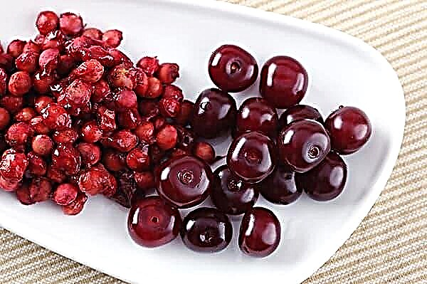 Is it possible to freeze sweet cherries for winter with pits?
