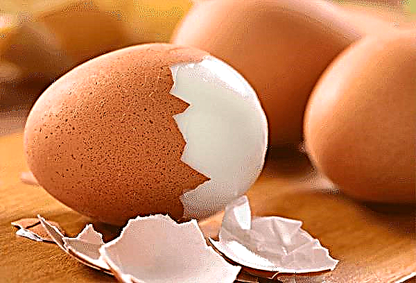 Hogyan kell meghámozni a tojást néhány másodperc alatt - három és fél hatékony módszer