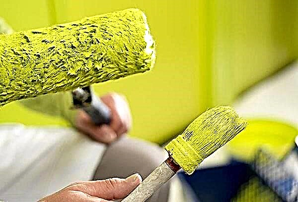 How to choose odorless paint for repair?