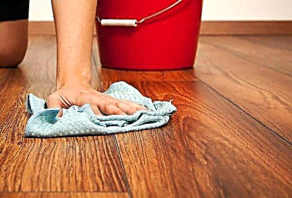 Kann ich den Boden mit einem Handtuch waschen: Volksweisheit und Erfahrung