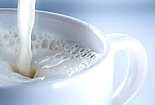 Berapa banyak susu yang dapat disimpan dan di mana yang terbaik untuk dilakukan?