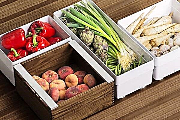 7 conseils pour un stockage à long terme des légumes verts et des légumes