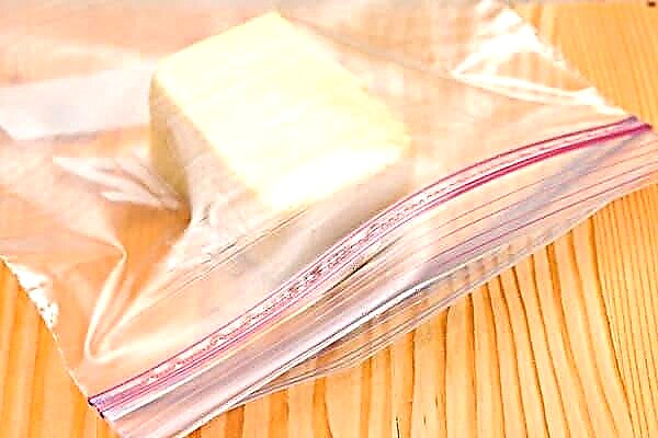 Can Parmesan be frozen and stored in a freezer?