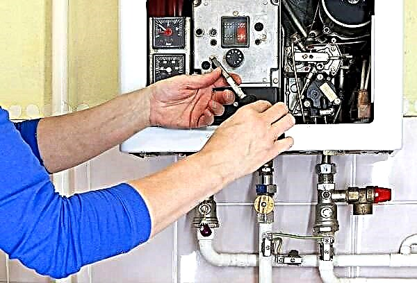 How and with what can you independently clean the gas column at home?
